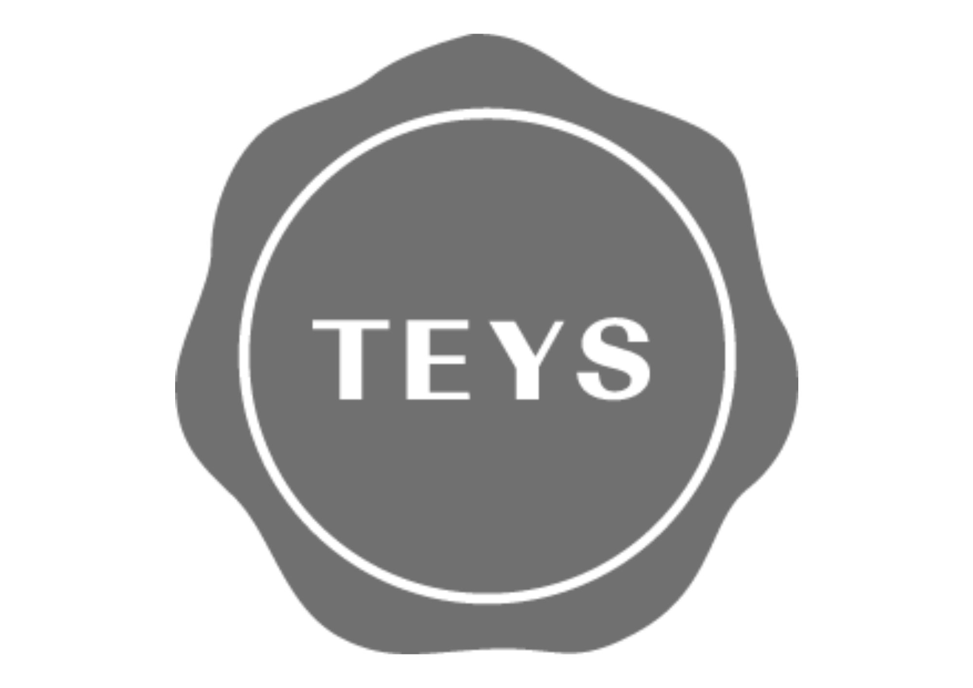 Teys Logo
