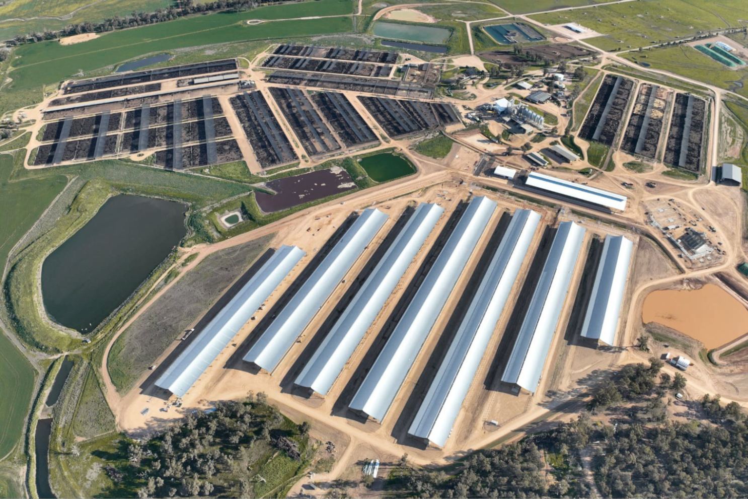 Shade cloth, gable or Ridgeback®? A comparison of covered feedlot housing.