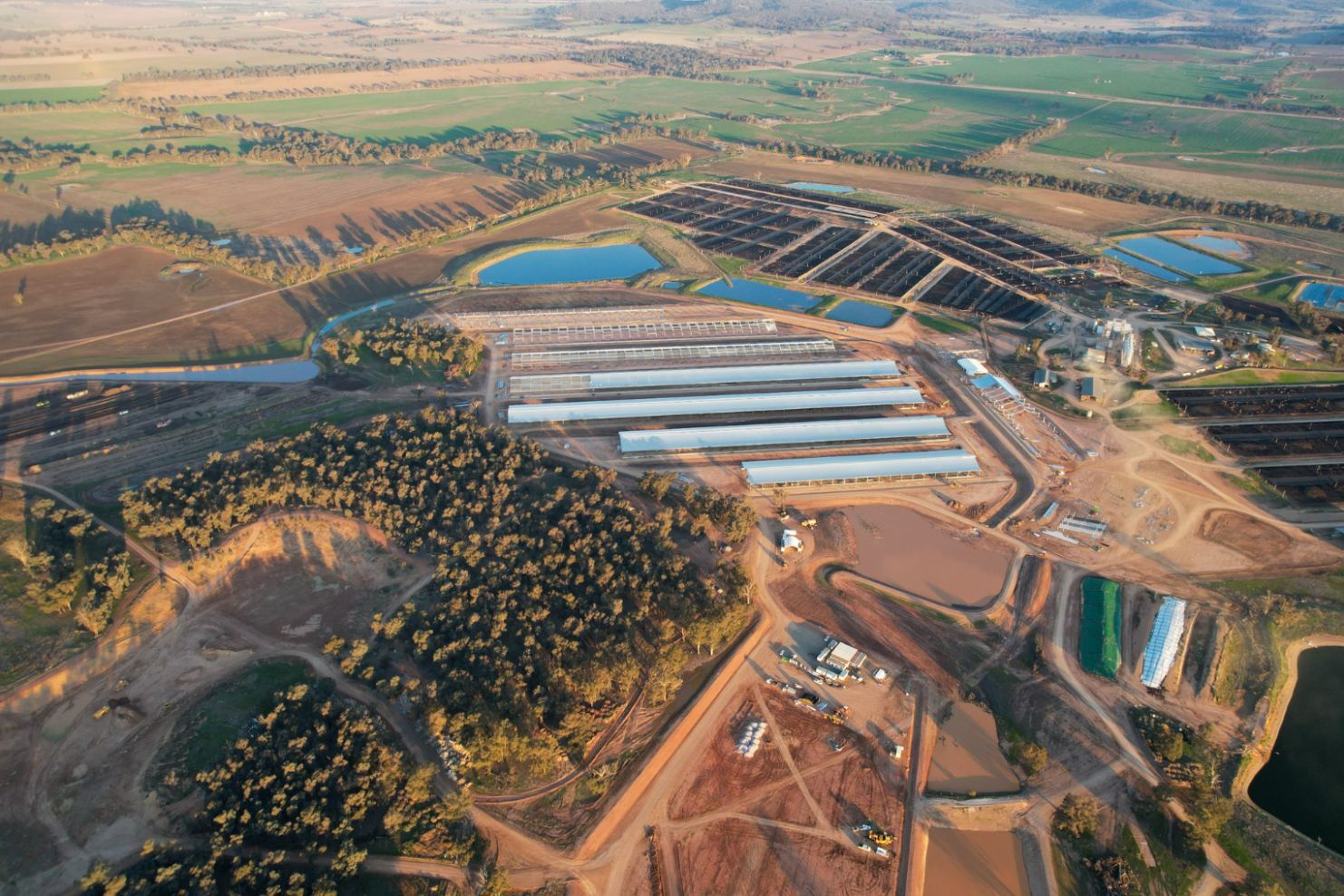 Aerial view of Ridgeback feedlot covers under construction at Teys Jindalee, Springdale NSW, an Entegra covered feedlot project