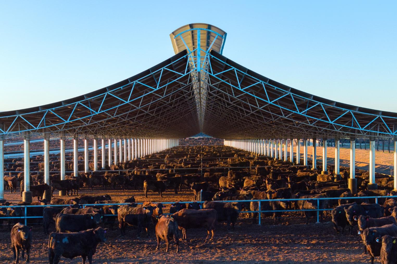 The Ridgeback® | Patented Livestock Housing Solution | Entegra