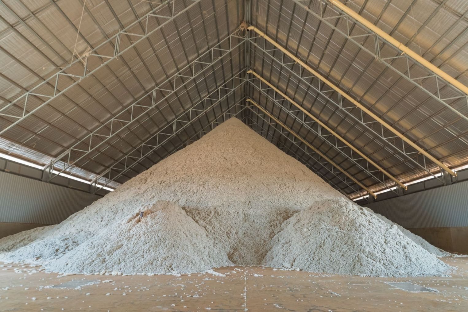 Northern Cotton WANT Katherine Gin
