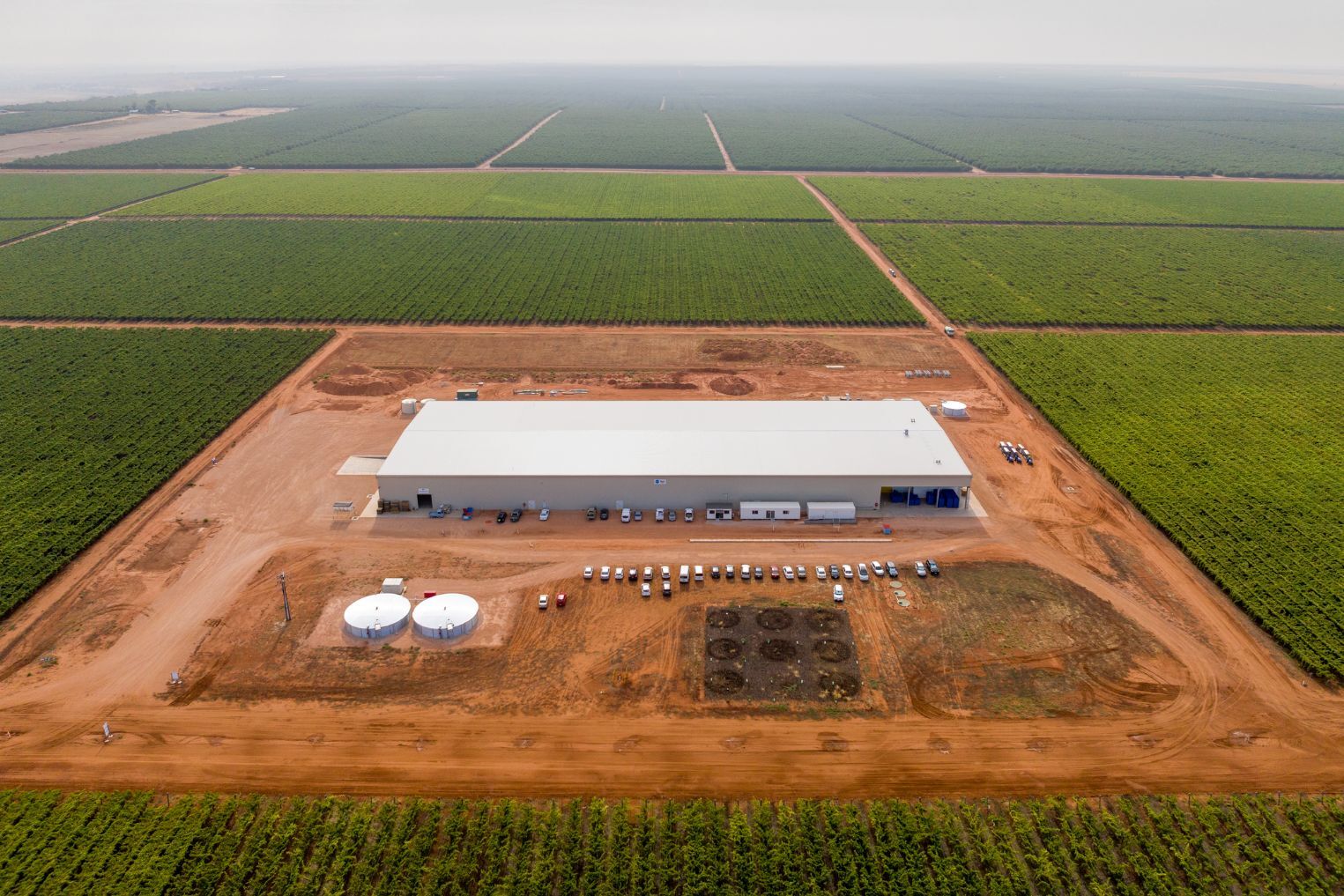 Talia Farms' Vineyard and turnkey horticulture packing facility in Lyrup, South Australia.