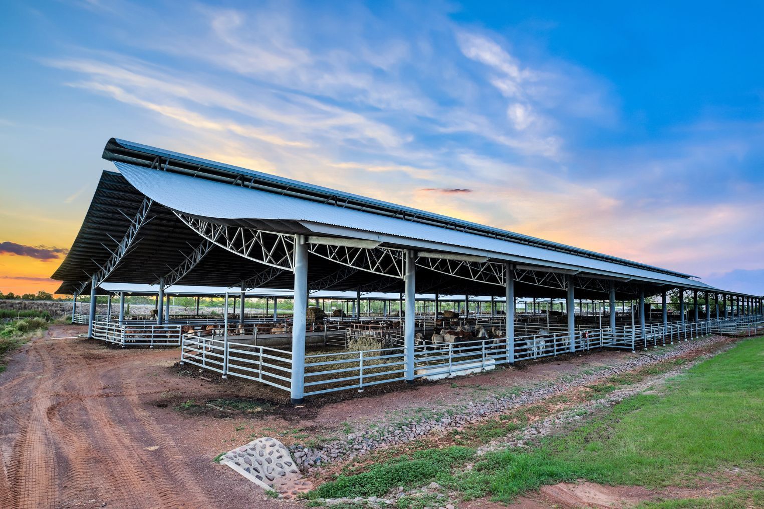 NTLEA Berrimah Export Yards Ridgeback® cattle covers by Entegra. Darwin, Northern Territory.