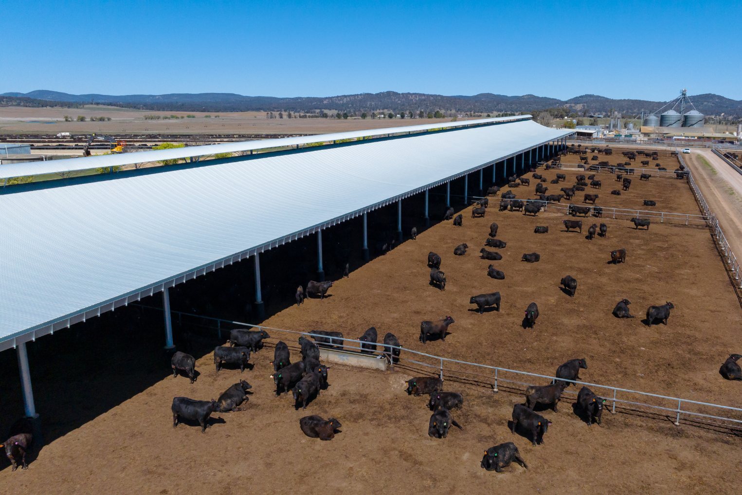 Stanbroke, Rangers Valley Feedlot, Ridgeback Barn