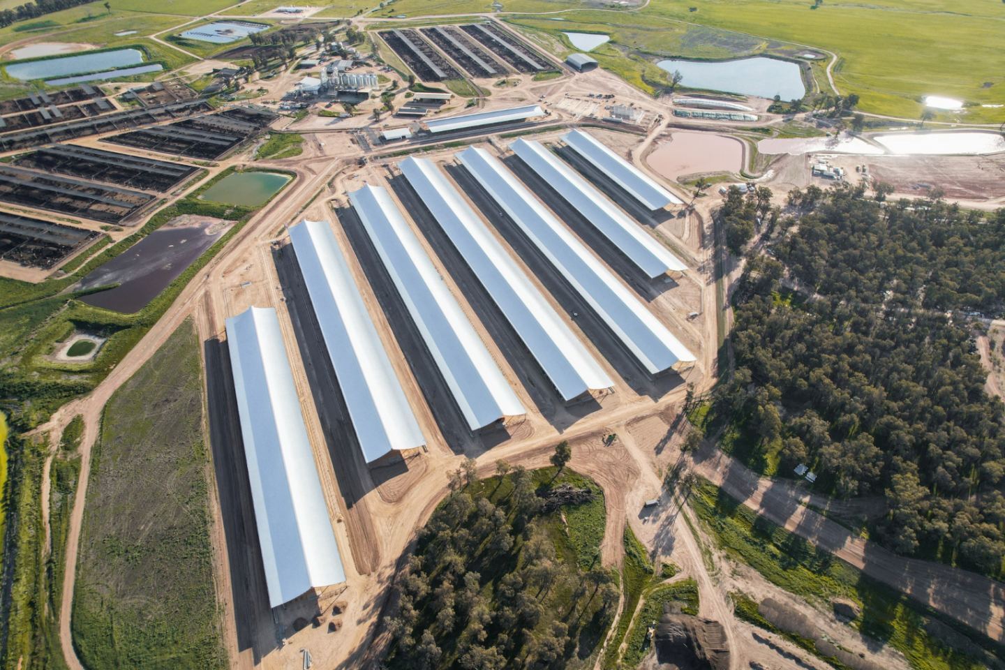 Teys Australia Jindalee beef feedlot in Springdale, NSW. 8 Ridgeback pen covers constructed by Entegra.
