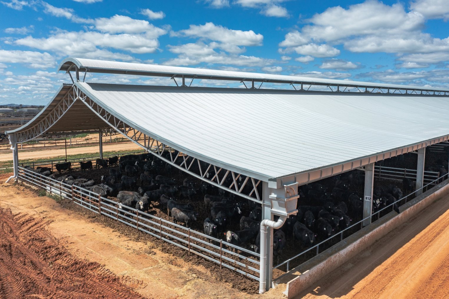 Teys Australia, Charlton Feedlot Ridgeback