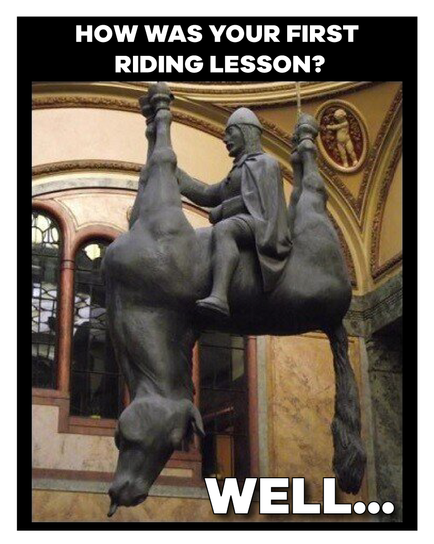 15 Hilarious Horse Memes That Will Make You Laugh All Day Funny Horse